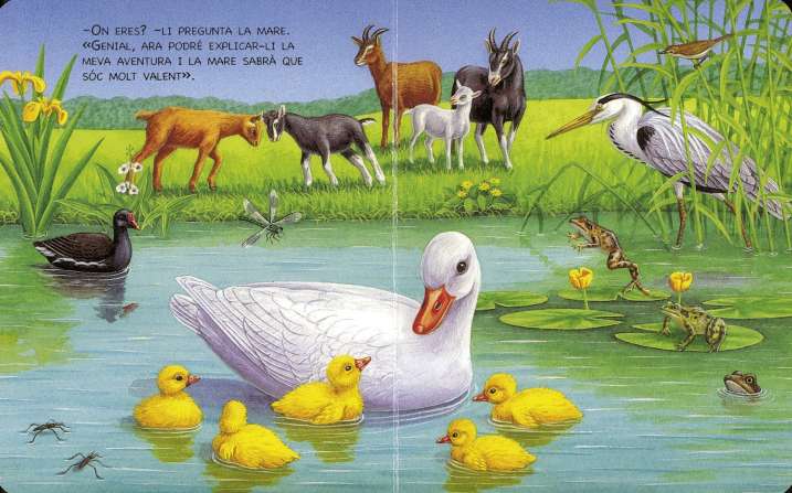 Un dia amb els animals