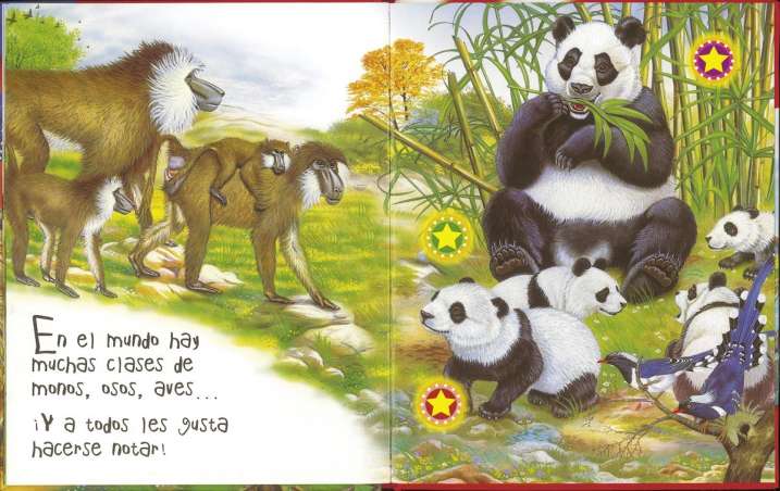 Los sonidos de la selva