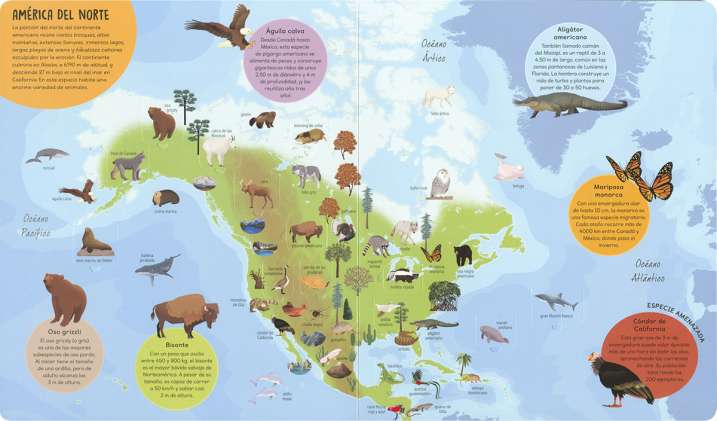 Atlas de 500 animales