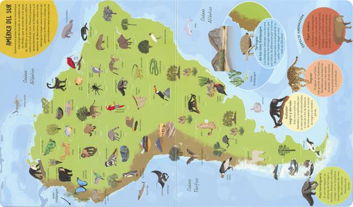 Atlas de 500 animales