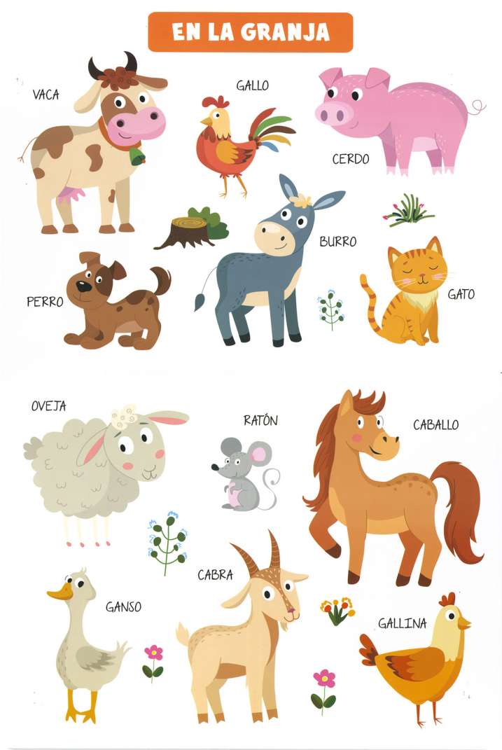 Aprendo palabras. Animales