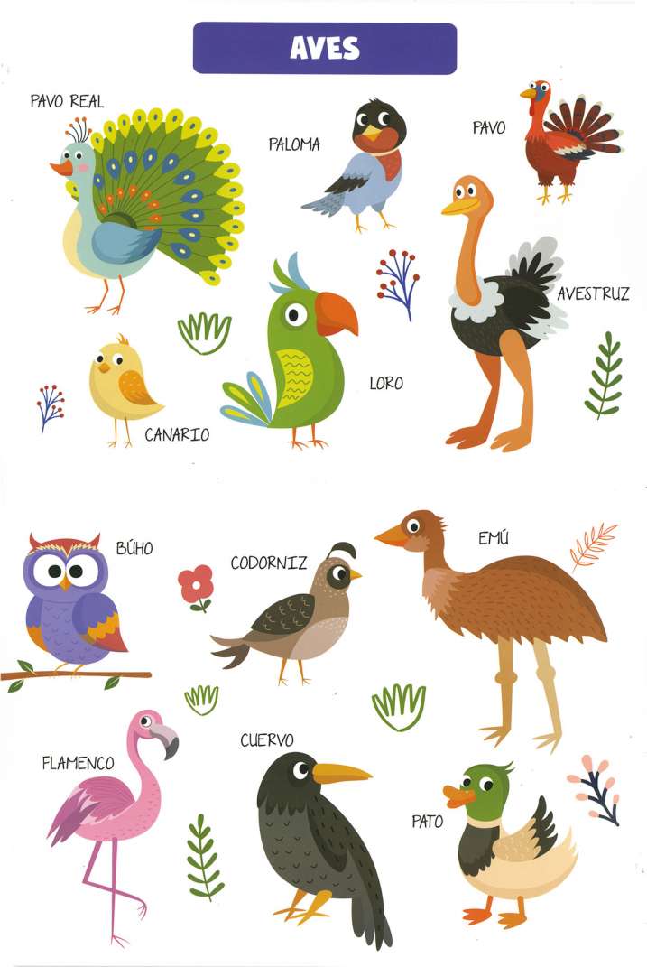 Aprendo palabras. Animales