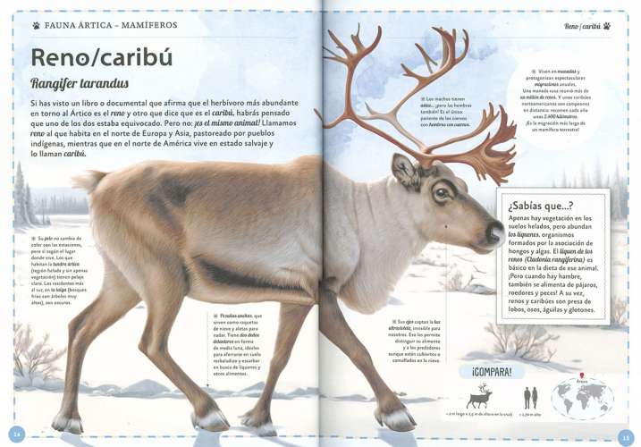 EL MAGNIFICO LIBRO DE...