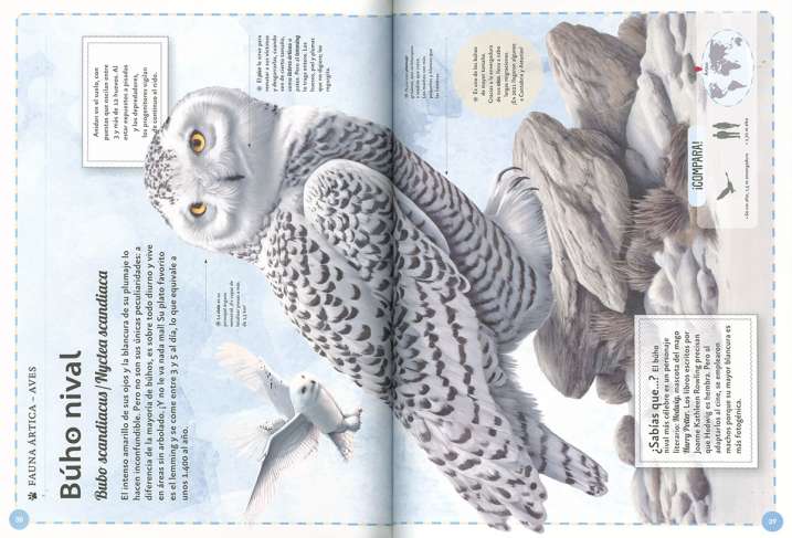 EL MAGNIFICO LIBRO DE...