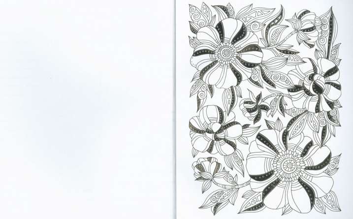 Colorea flora y fauna