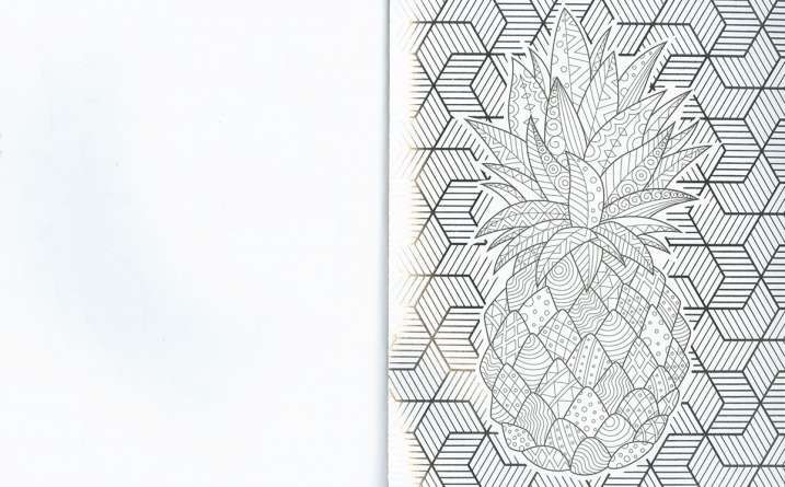 Colorea flora y fauna