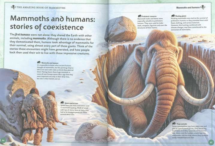 The amazing book of mammoths