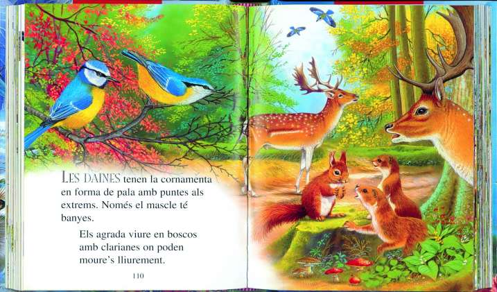 250 Curiositats dels animals