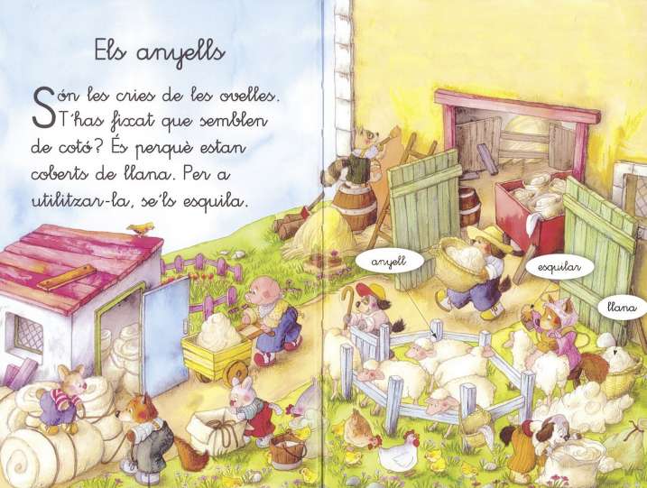 Descobreix els animals de...