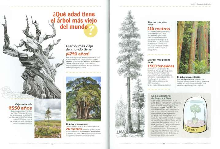 Todo, todo todo sobre los...