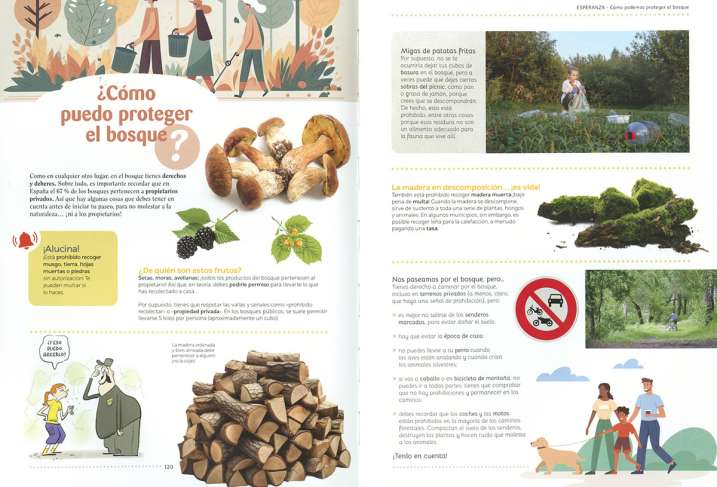 Todo, todo todo sobre los...