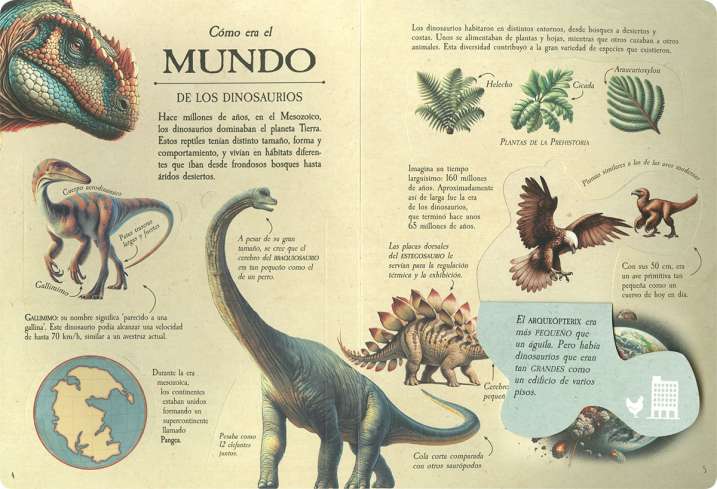 Levanta y descubre cómo...