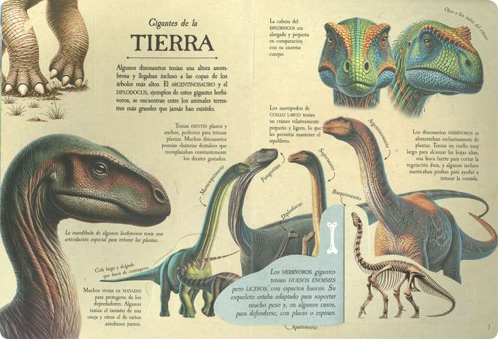 Levanta y descubre cómo...