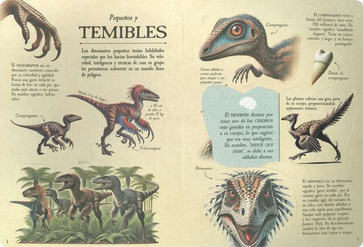 Levanta y descubre cómo...