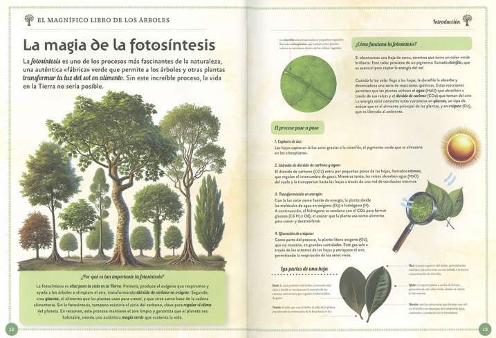 El magnífico libro de los...