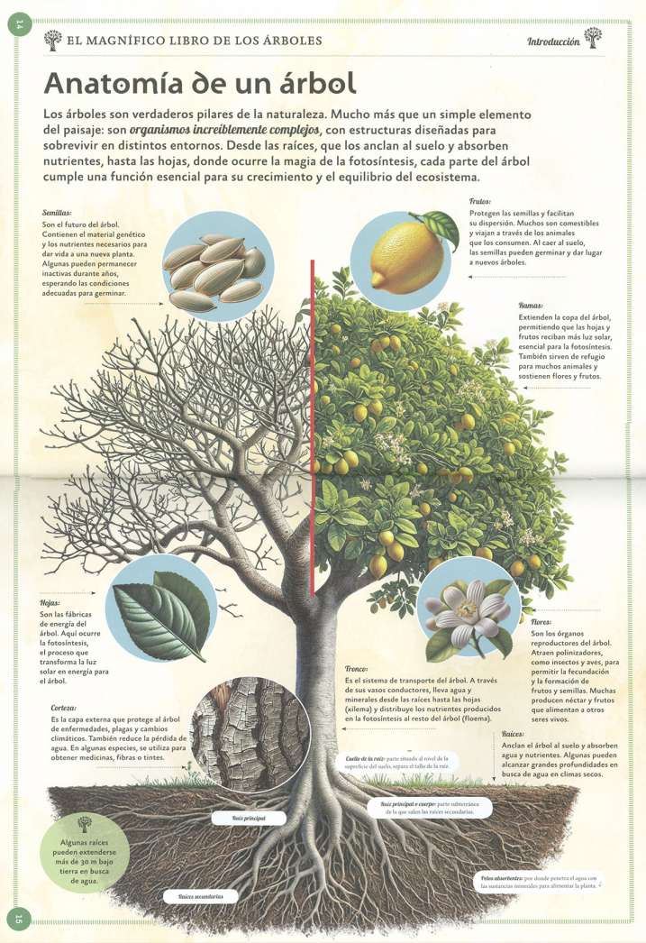 El magnífico libro de los...