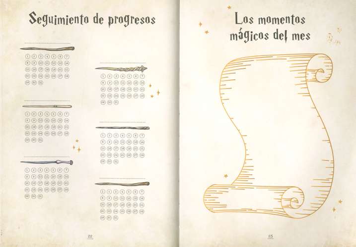 Mi mágico bullet journal...
