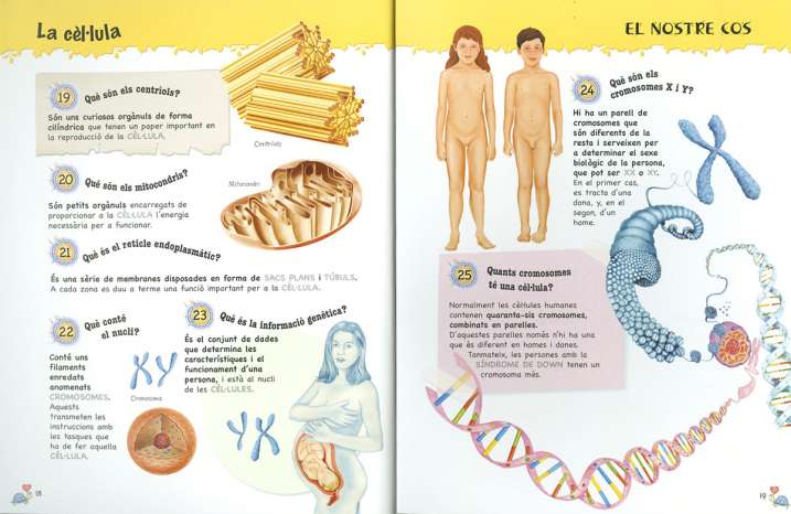 500 Preguntes i respostes...