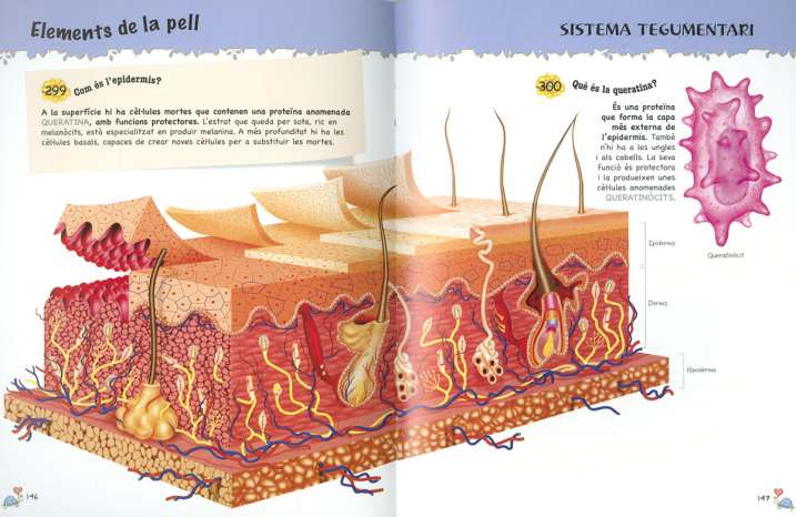 500 Preguntes i respostes...