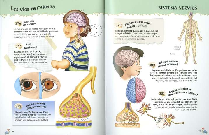 500 Preguntes i respostes...