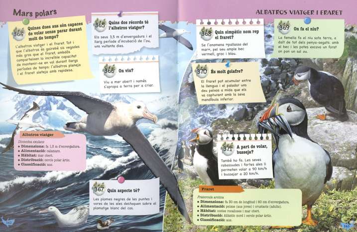 500 Preguntes i respostes...