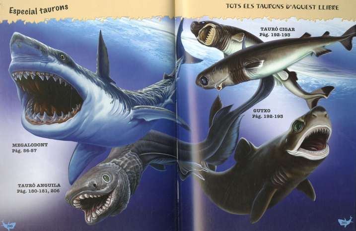 500 Preguntes i respostes...