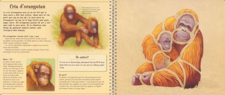 Petits animals salvatges