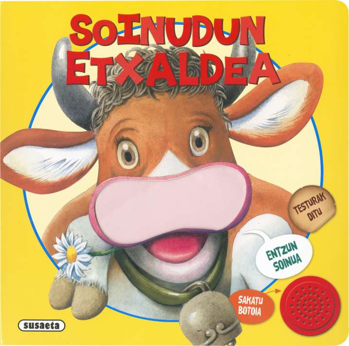 Soinudun etxaldea