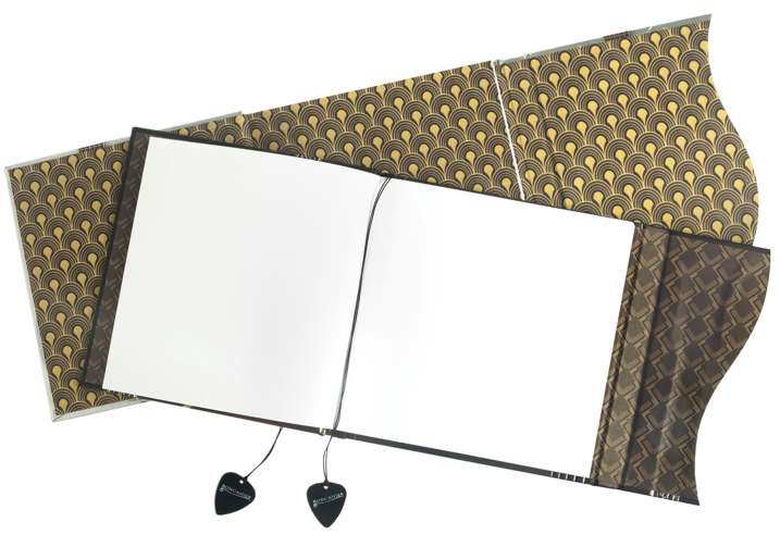 GUITARS DWIGHT VALCO SUPRO