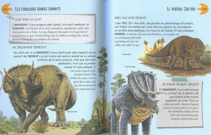 Per què? Preguntes i...