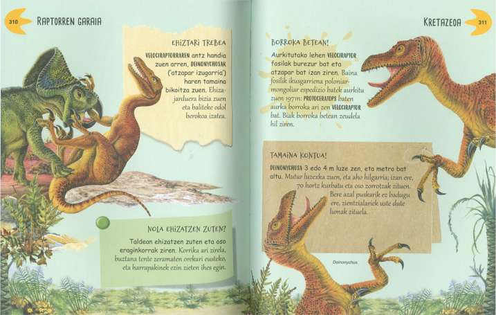 Zergatik? Galderak eta...