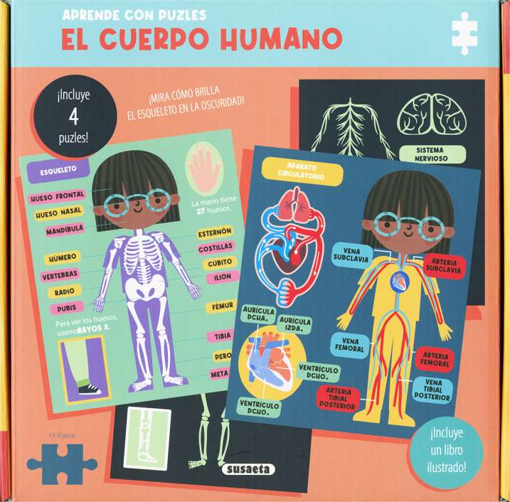 El cuerpo humano