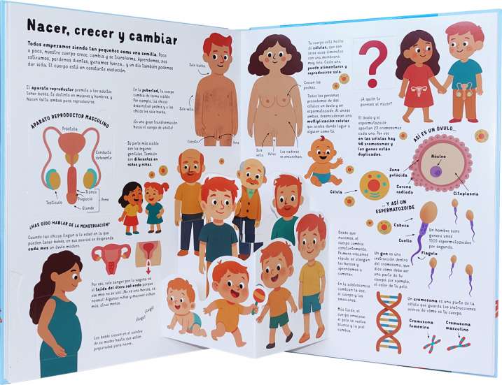 Descubro cómo es el cuerpo...