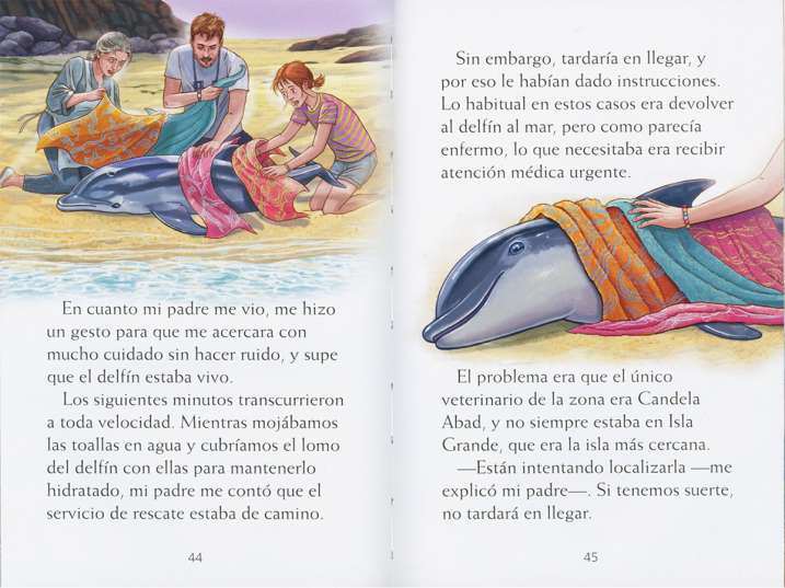 Flipper