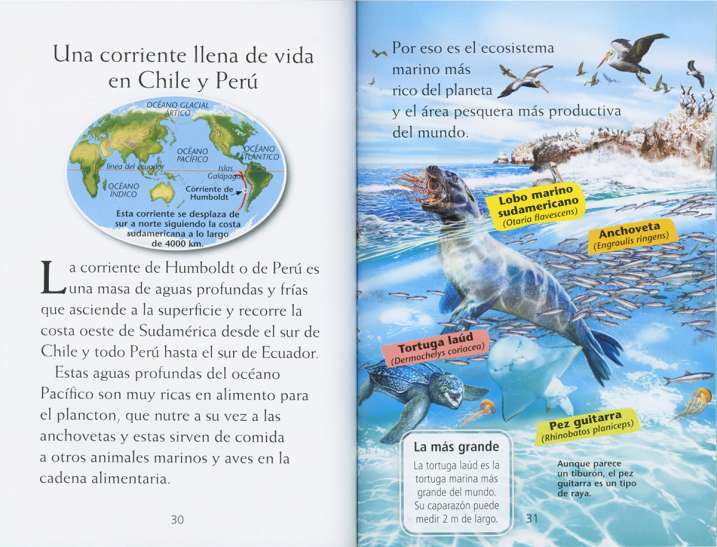 La vida en los océanos