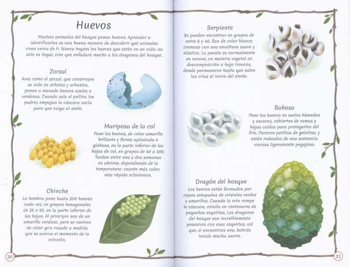 Dragones
