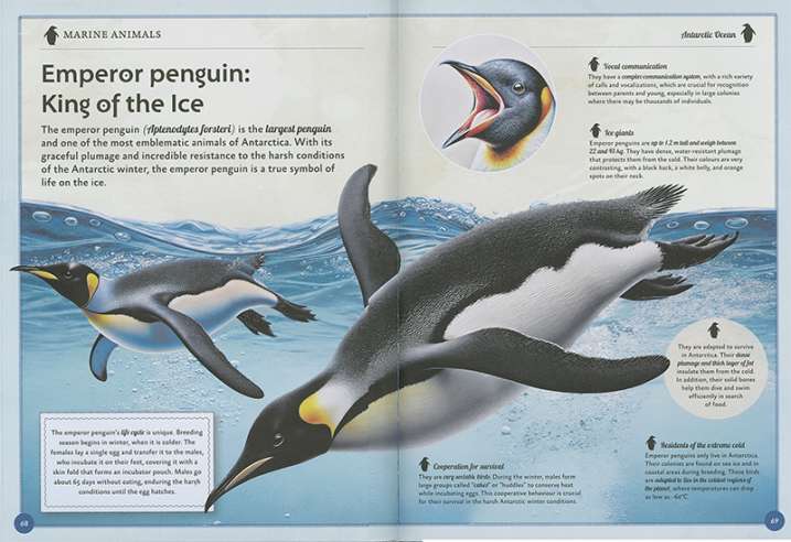 The Amazing Book of Marine...