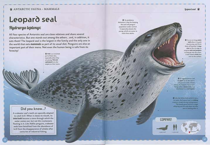 The amazing book of polar...