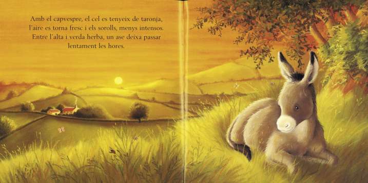 Un dia amb els animals