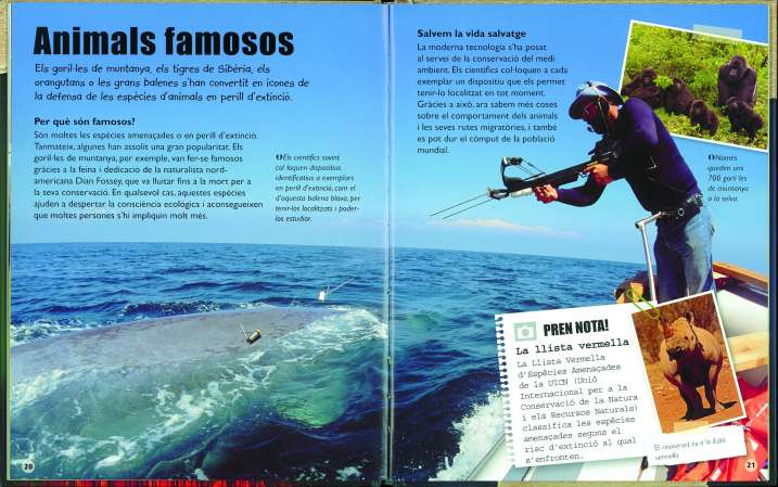 Animals en extinció