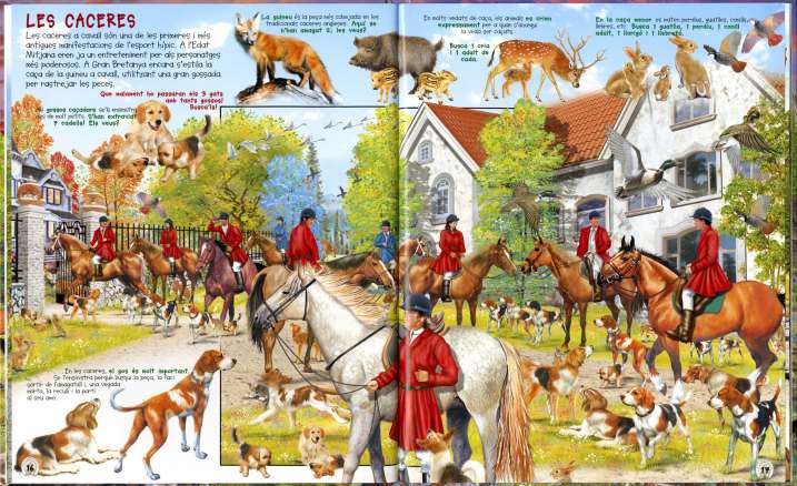 Busca els cavalls i ponis