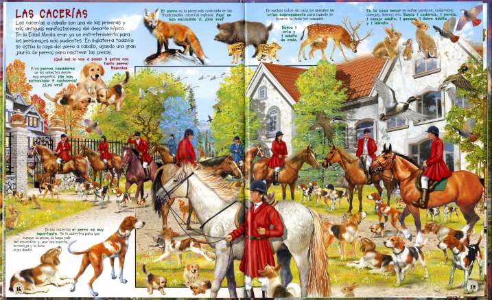 Busca los caballos y ponis