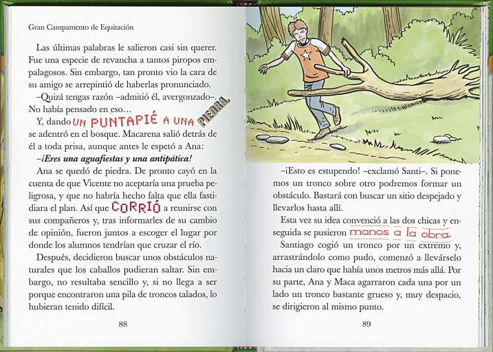 La fiesta de despedida