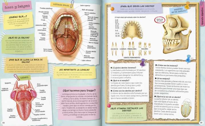 1.001 preguntas y...