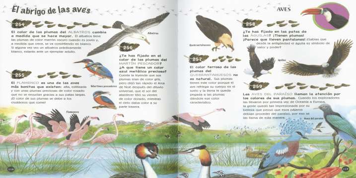 501 preguntas y respuestas...