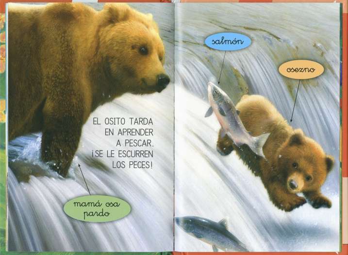 Los bebés de los animales