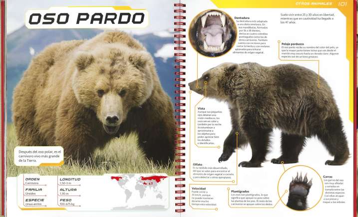 Depredadores y otros...