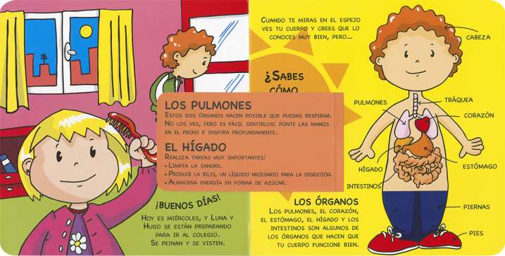 Mi primer libro de anatomía