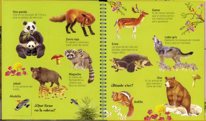 Animales y sus crías | Editorial Susaeta - Venta de libros infantiles