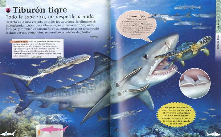 Tiburones y otros...